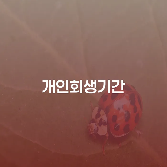 개인회생 취소 개인회생으로 해결 해결하기