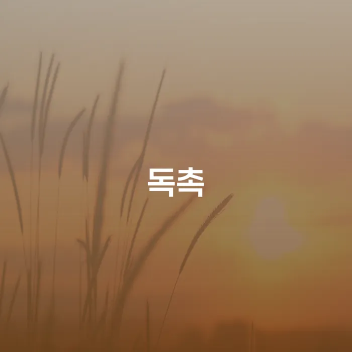 중구 대출 연체 5일 개인회생으로 현명하게 진행하는